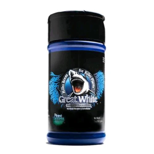PIANTA SUCCESSO - GREAT WHITE - 28GR