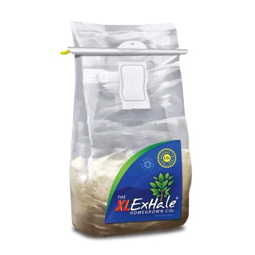 BORSA DI CO2 DI ESAPAZIONE XL