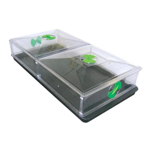 NUTRICULTURA - VITOPOD LARGE 1 STRATO
