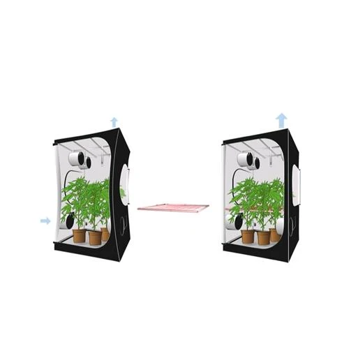 SECRET JARDIN - KIT SPACE BOOSTER INTENSE 480 - (/) 19 MM