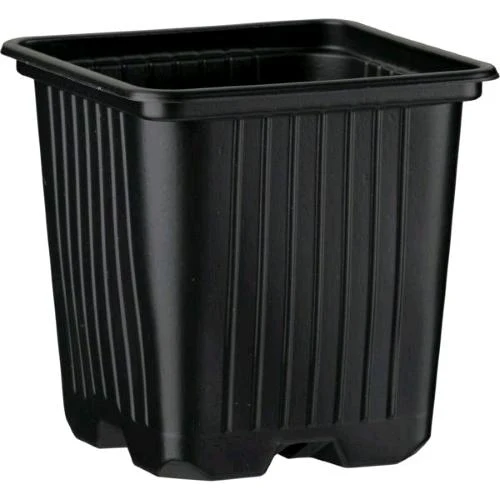 VASO QUADRATO 7X7X8 - 0.35 LT - PLASTICA TERMOFORMATA