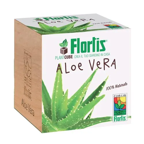 FLORTIS - PLANTACUBO - ALOE VERA