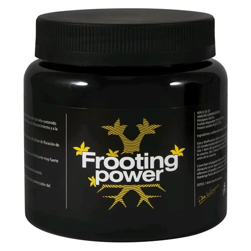BAC - POTENZA FROOTING - 325GR