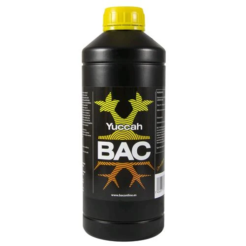 BAC-YUCCAH-1L