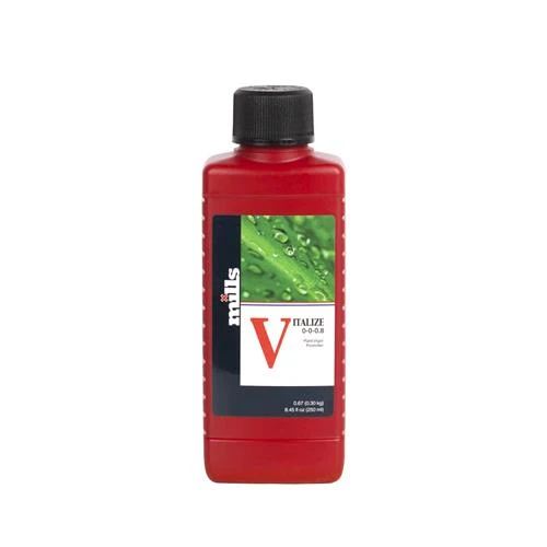 MULINI - VITALIZZANTE - 250ML