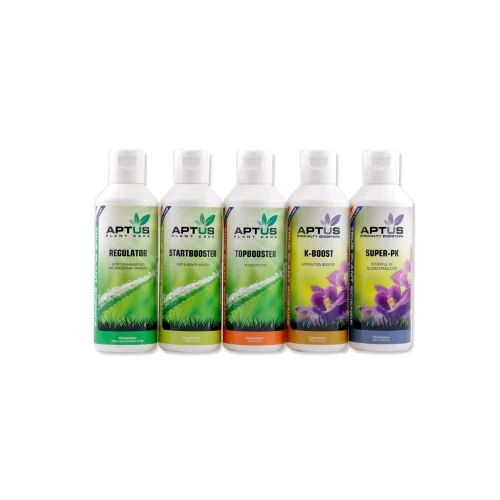 APTUS - INTERNO - SET BASIC - 5 X VARIE