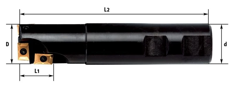 Fervi F306/25 - Fresa a inserto