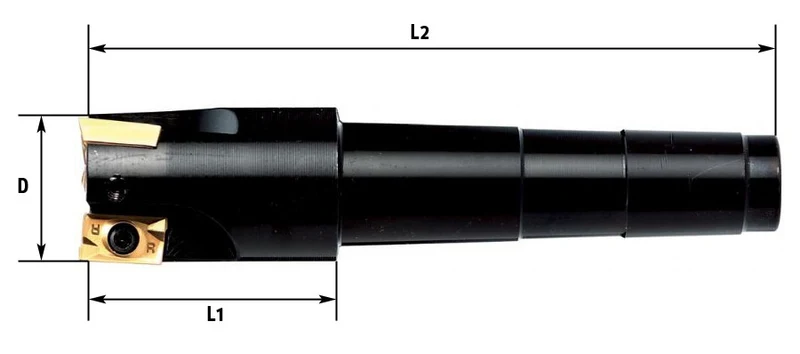 Fervi F301/40 - Fresa a inserto