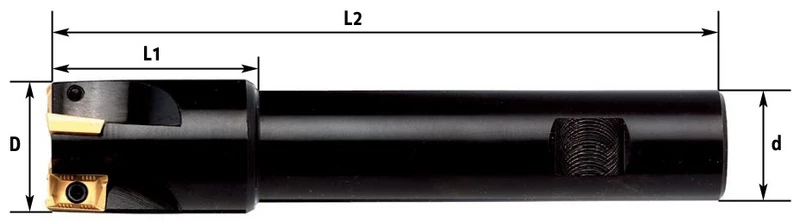 Fervi F300/32/16L - Fresa a inserto