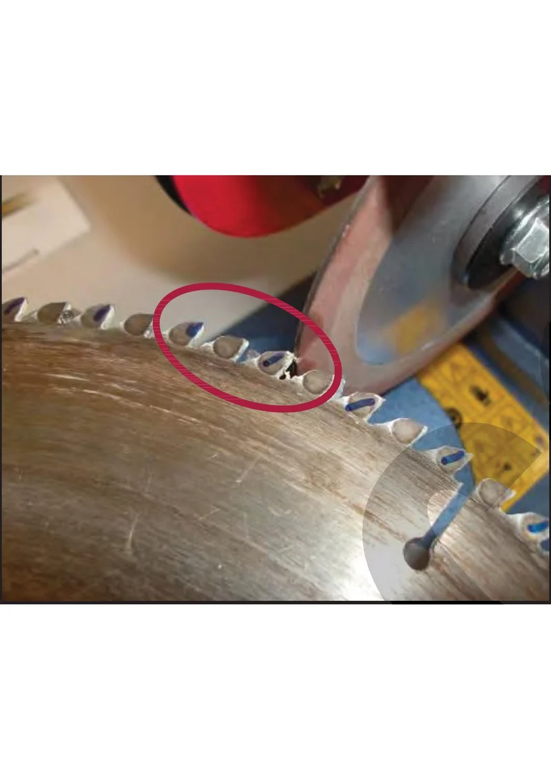 Fervi 0804 - Affilatrice manuale per dischi