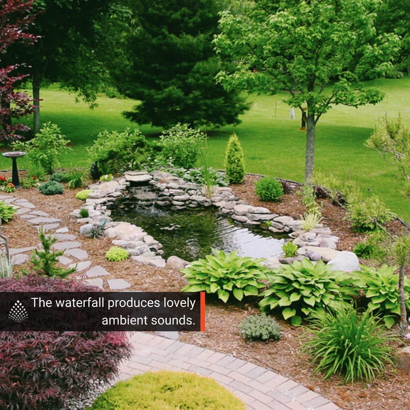 Large Pond DIY Kit - Blue Thumb