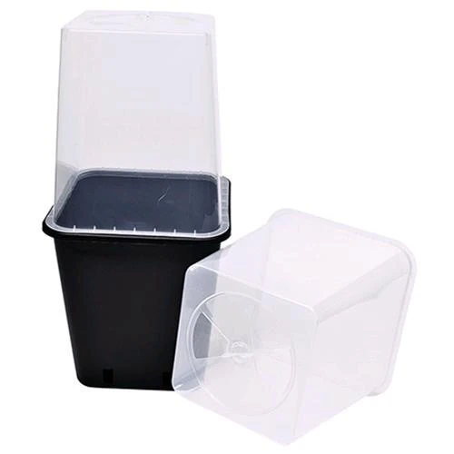 P&B - VASO DA SERRA PER VASO DA 11L