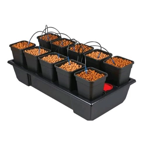 WILMA - SISTEMA DI COLTIVAZIONE 10 PICCOLO LARGO (10X6.5L) 120X60X20CM