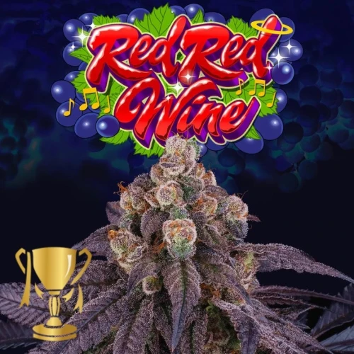 SEMI DI ALBERO PERFETTO - ROSSO VINO ROSSO FEMMINILE - 6 SEMI + 3 LH2P OMAGGIO