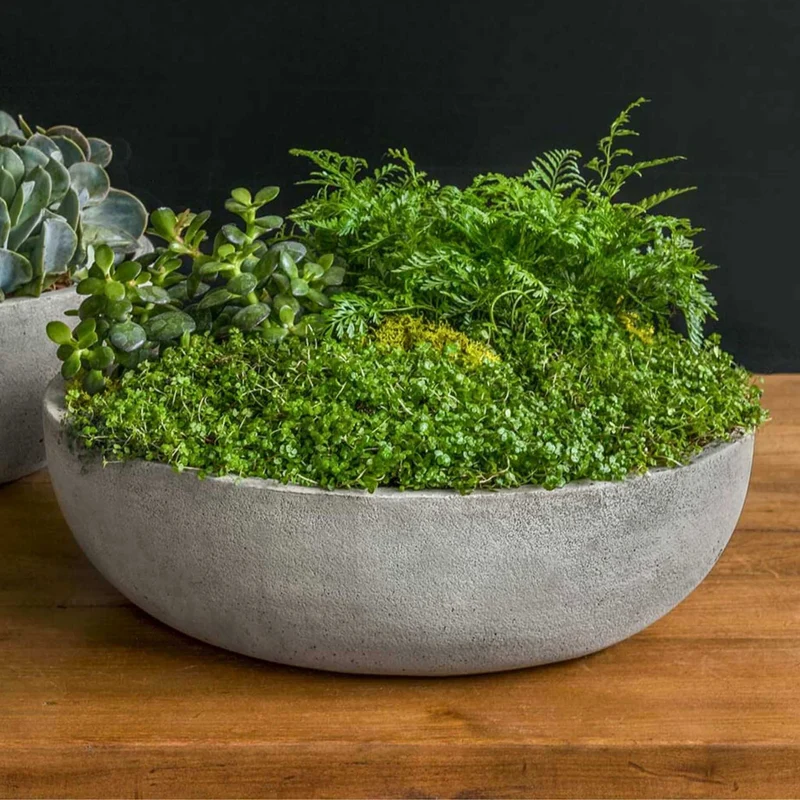 Terrace Bowl Medium Concrete Planter - Campania #P897