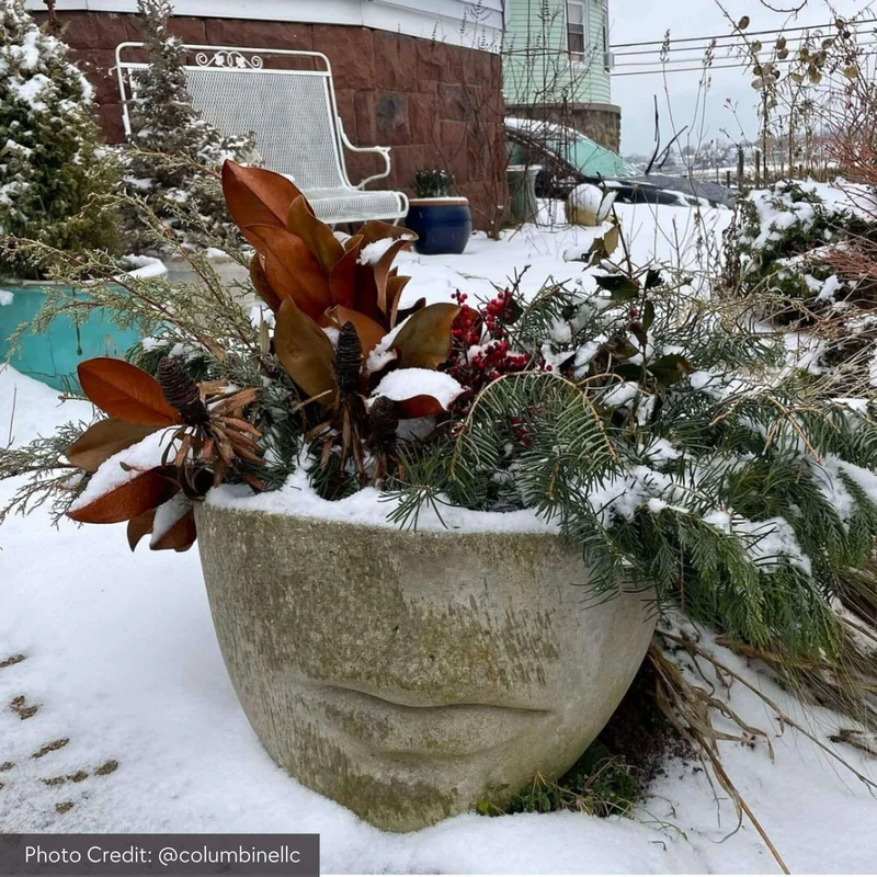 Faccia Concrete Planters - Campania