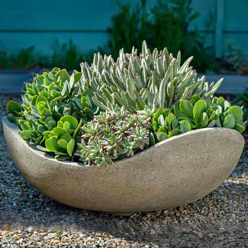 Wave Bowl Concrete Planter - Campania #P887