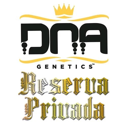 DNA GENETICA - R.K.S FEM - 3 SEMI