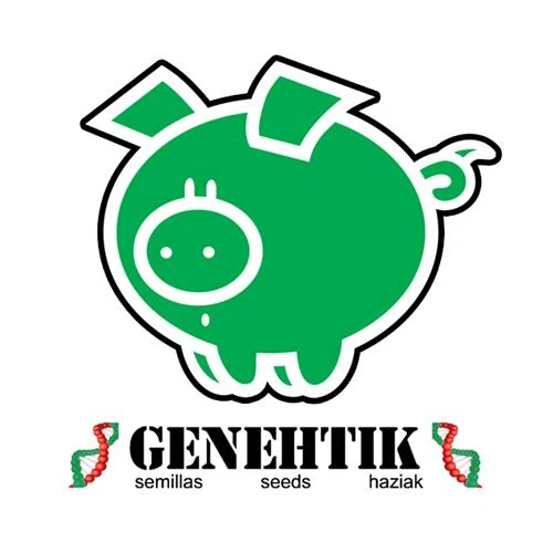 GENEHTIK - LUCE DEL NORD X - 5 SEMI