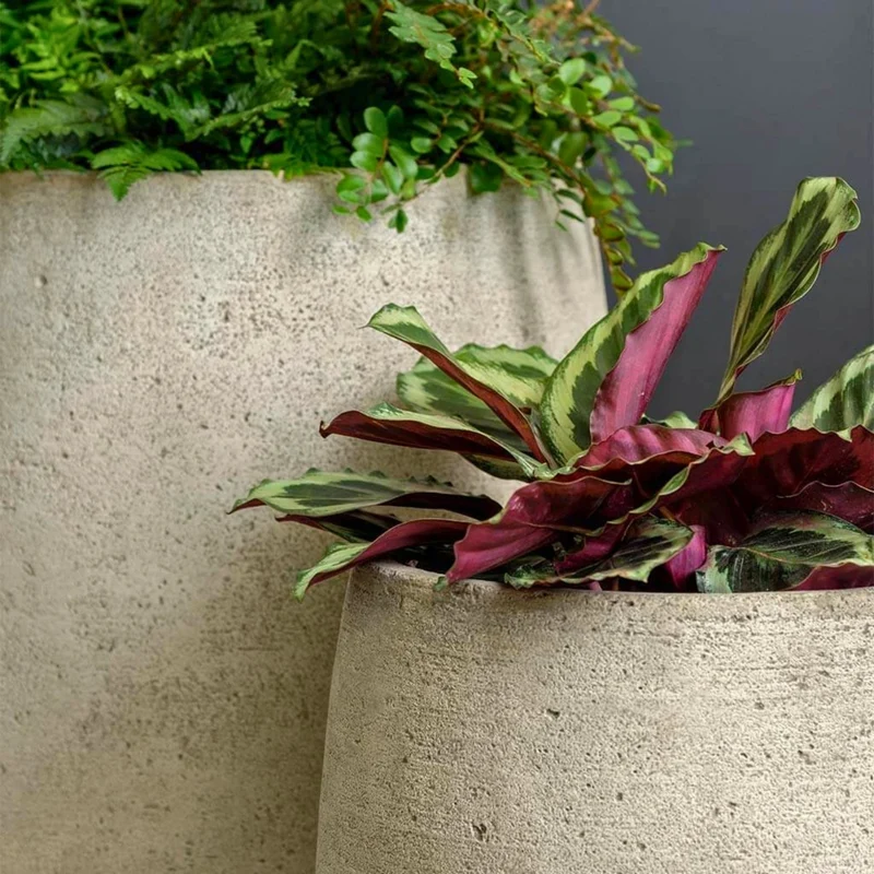 Bebel Concrete Vase Planters - Campania