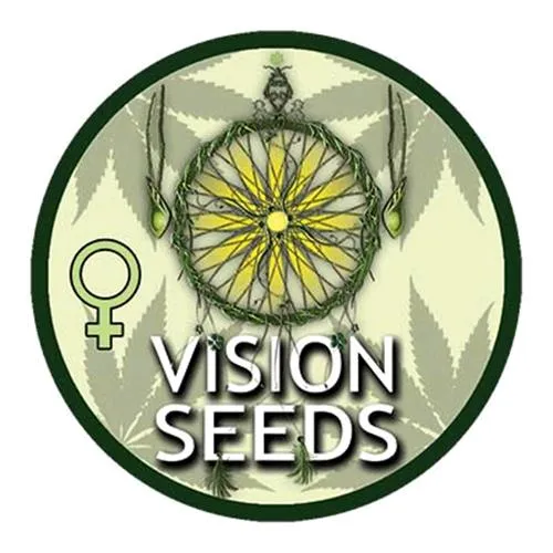 SEMI DI VISION - LOWRYDER AUTO - 5 SEMI