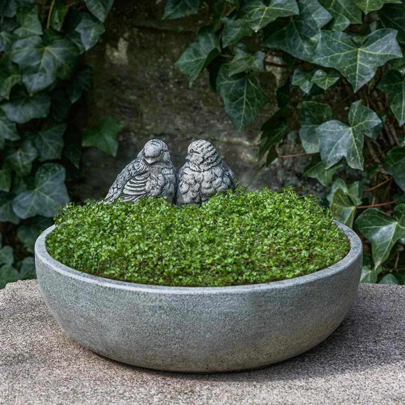 Lovebird Concrete Bowl Planter - Campania #P900
