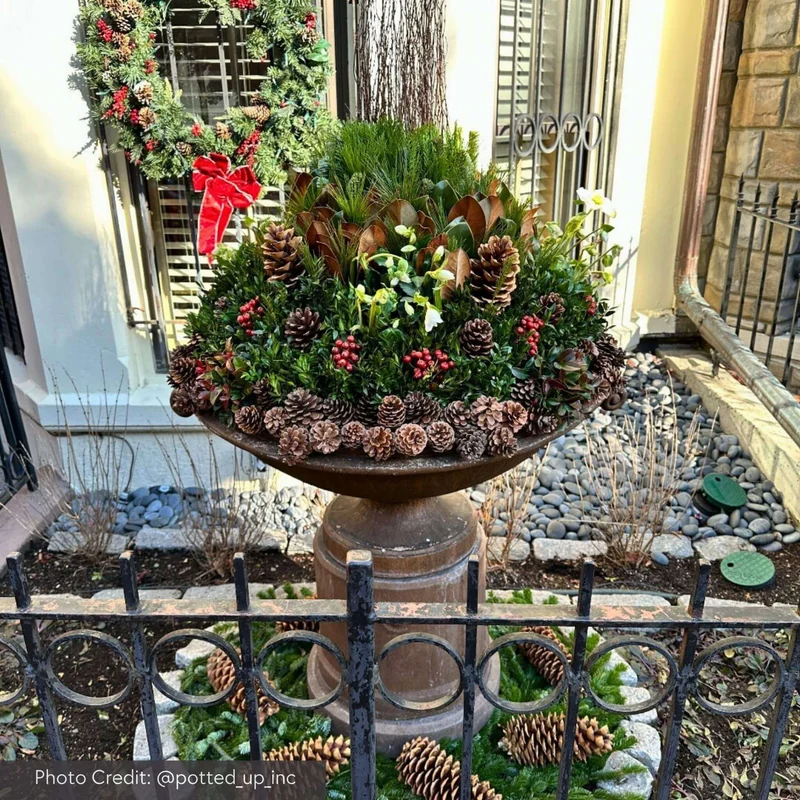 Medici Large Concrete Planter - Campania #P630