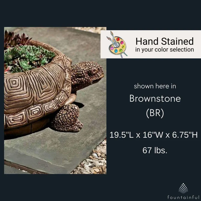 Turtle Concrete Planter - Campania #P647