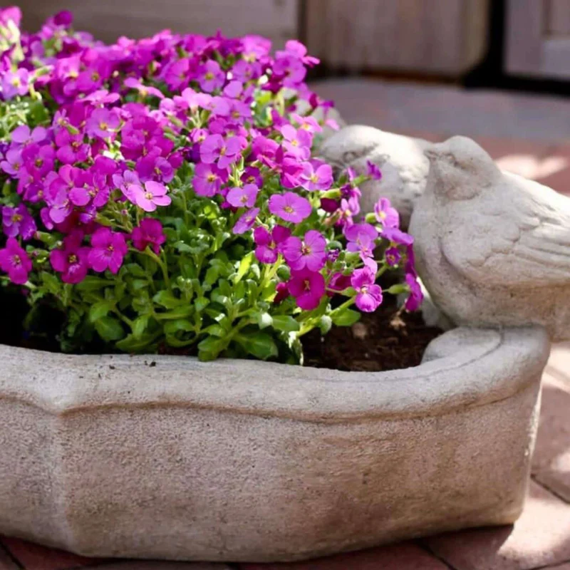 Alouette Concrete Planter - Campania #P658