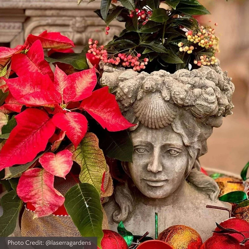 Williamsburg Orabelle Concrete Planter - Campania #P559