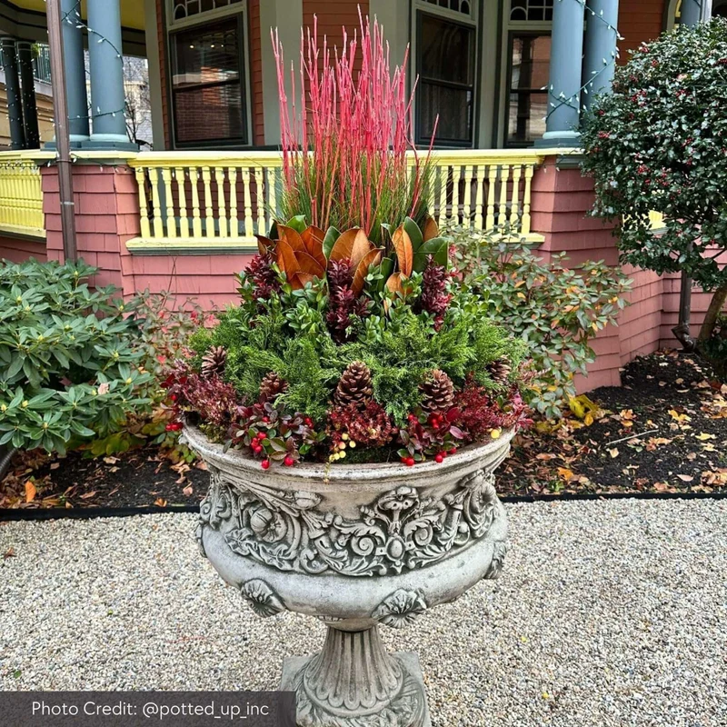 Smithsonian Morning Glory Concrete Urn Planter - Campania #P0529