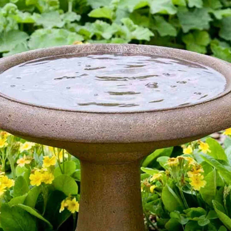 Williamsburg Summer House Concrete Bird Bath - Campania #B126