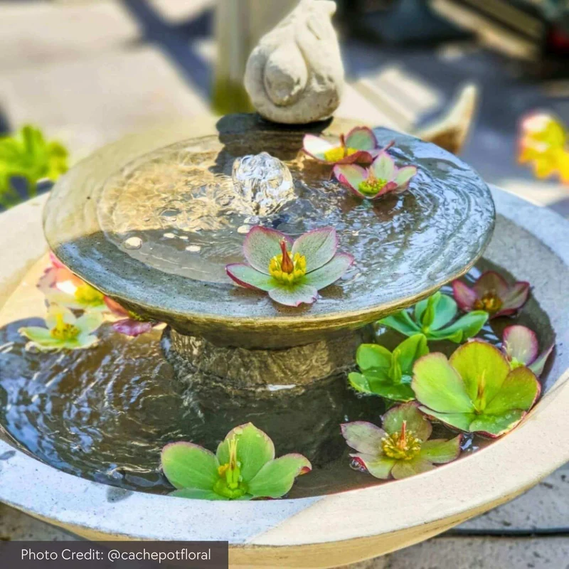 Wychwood Concrete Fountain - Campania #FT292