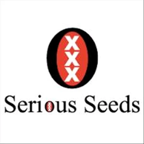 SEMI SERI - RUSSO BIANCO - 6 SEMI