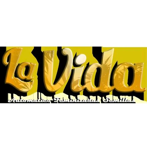 SEMI DI LAVIDA - CRITICAL HIGH AUTO 10 SEMI