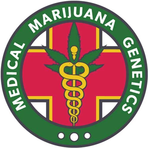 GENETICA DELLA MARIJUANA MEDICA - NAGUAL - 5 SEMI