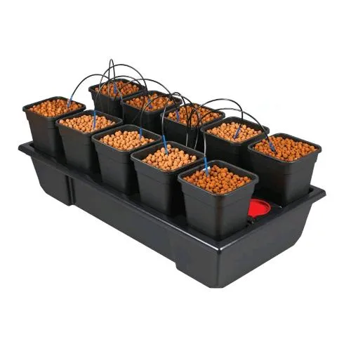 NUTRICULTURA - WILMA - ORIGINE PICCOLO LARGO 10 - 6L