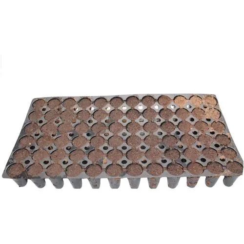JIFFY - VASSOIO PER PIANTINE 66 CUBETTI - 55x31.5x5.5