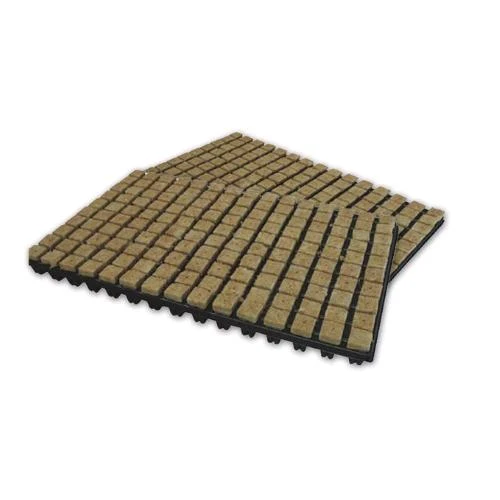 GRODAN - VASSOIO DI GERMINAZIONE CON 150 CUBETTI DI LANA DI ROCCIA - 2.5X2.5