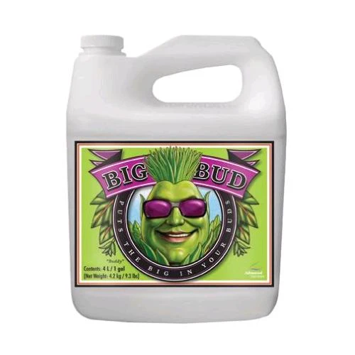 NUTRIENTI AVANZATI - BIG BUD - 10L