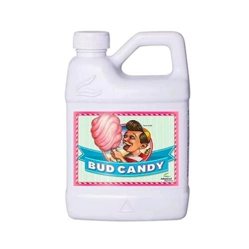 NUTRIENTI AVANZATI - BUD CANDY - 500ML