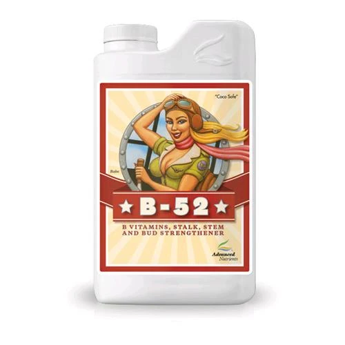 NUTRIENTI AVANZATI - B-52 - 1L