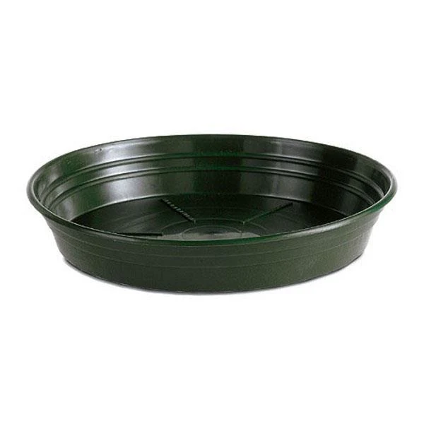 Sottovaso tondo verde