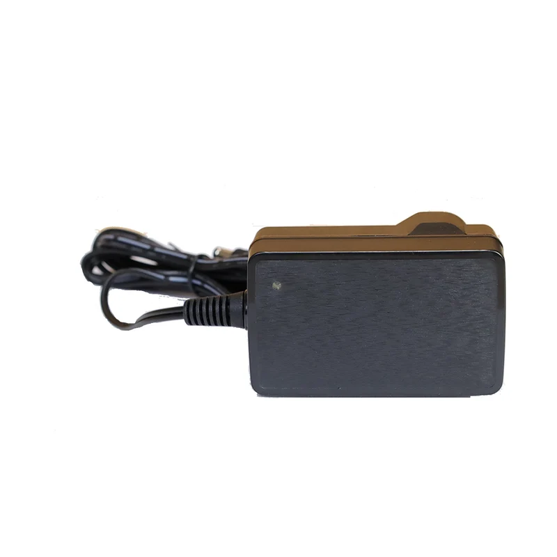 Charger for DEWINNER 32V Cordless Battery Powered Pressure Washer, UK Plug