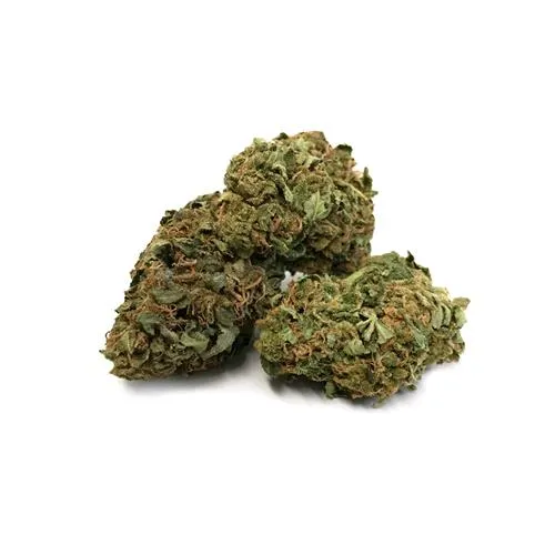 THE MONKEY - FASCIA REM - SFUSO 100GR