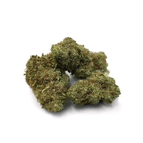 LA SCIMMIA - SPECIALE REGINA - SFUSO 100GR