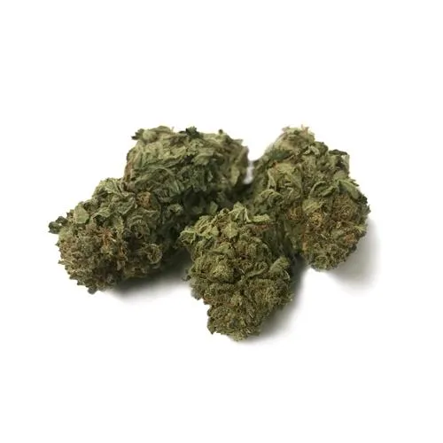 LA SCIMMIA - ARANCIA - SFUSO 100GR