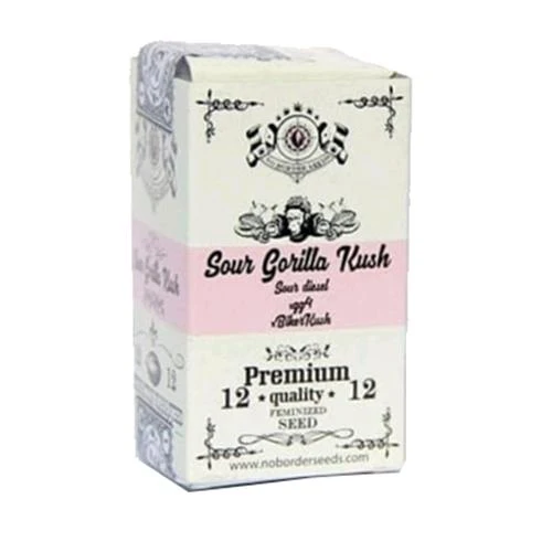 SEMI NO BORDER - SOURGORILLAKUSH - 6 SEMI - QUALITÀ PREMIUM