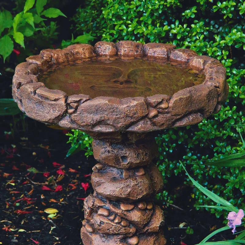 Quiet Reflections 1-Piece Concrete Bird Bath - Massarellis #9747