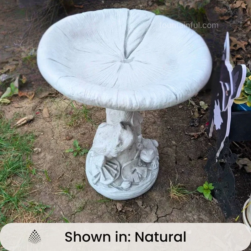 Frogs and Lilies Concrete Bird Bath - Massarellis #9750